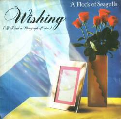 A Flock Of Seagulls : Wishing (If I Had a Photograph of You)